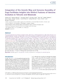Integration of the Genetic Map and Genome Assembly of Fugu Facilitates Insights Into Distinct Features of Genome Evolution in Teleosts and Mammals