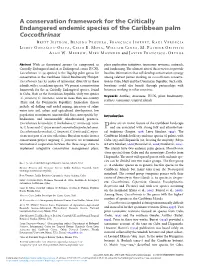 A Conservation Framework for the Critically Endangered Endemic Species of the Caribbean Palm Coccothrinax