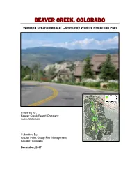 Beaver Creek CWPP
