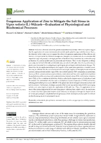 Exogenous Application of Zinc to Mitigate the Salt Stress in Vigna Radiata (L.) Wilczek—Evaluation of Physiological and Biochemical Processes