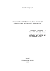 Texto Completo.Pdf