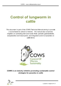 Control of Lungworm in Cattle