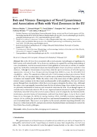 Emergence of Novel Lyssaviruses and Association of Bats with Viral Zoonoses in the EU