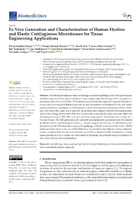 Ex Vivo Generation and Characterization of Human Hyaline and Elastic Cartilaginous Microtissues for Tissue Engineering Applications