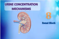 L8-Urine Conc. [PDF]