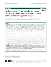 Methane-Yielding Microbial Communities Processing Lactate-Rich Medium to Methane M1A M1B