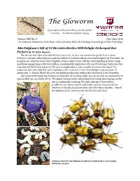 The Gloworm Volume XXII No. 3, May-June 2015
