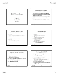 Batch Files and Scripts Why Should You Care?