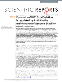 Dynamics of RIF1 Sumoylation Is Regulated by PIAS4 in The