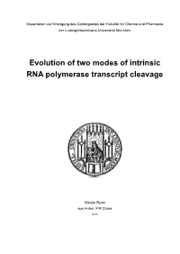 Evolution of Two Modes of Intrinsic RNA Polymerase Transcript Cleavage