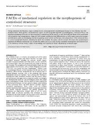 Facets of Mechanical Regulation in the Morphogenesis of Craniofacial Structures