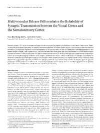 Multivesicular Release Differentiates the Reliability of Synaptic Transmission Between the Visual Cortex and the Somatosensory Cortex