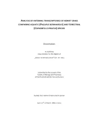 Dissertation