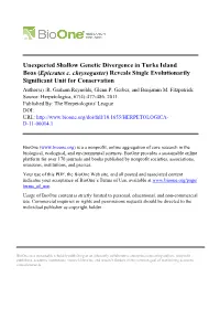 Unexpected Shallow Genetic Divergence in Turks Island Boas (Epicrates C. Chrysogaster) Reveals Single Evolutionarily Significant Unit for Conservation Author(S) :R