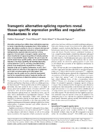C. Elegans GFP/RFP Alternative Splicing Screen