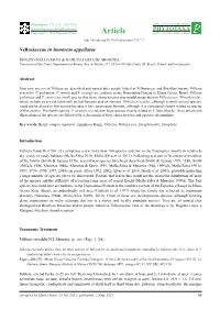 Velloziaceae in Honorem Appellatae