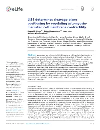 LIS1 Determines Cleavage Plane Positioning by Regulating Actomyosin