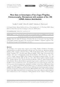 New Data on Karyotypes of Lace Bugs (Tingidae, Cimicomorpha, Hemiptera) with Analysis of the 18S Rdna Clusters Distribution