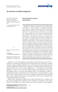 An Overview of Cuban Seagrasses