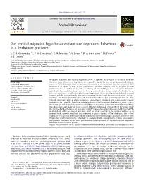 Diel Vertical Migration Hypotheses Explain Size-Dependent Behaviour in a Freshwater Piscivore