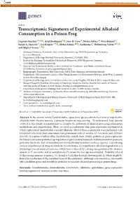 Transcriptomic Signatures of Experimental Alkaloid Consumption in a Poison Frog