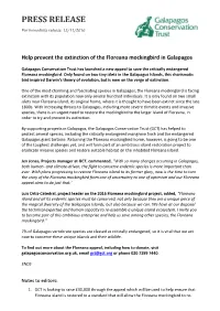 Help Prevent the Extinction of the Floreana Mockingbird in Galapagos