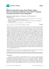 Mannose-Specific Lectins from Marine Algae: Diverse Structural Scaffolds