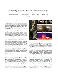Real-Time Sphere Sweeping Stereo from Multiview Fisheye Images