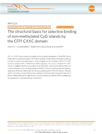The Structural Basis for Selective Binding of Non-Methylated Cpg Islands by the CFP1 CXXC Domain