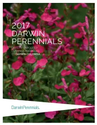 2017 Darwin Perennials