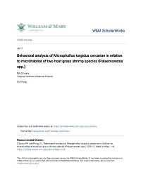 Behavioral Analysis of Microphallus Turgidus Cercariae in Relation to Microhabitat of Two Host Grass Shrimp Species (Palaemonetes Spp.)