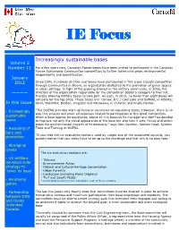 EN Focus IE 12-01.Pub