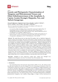 Genetic and Phylogenetic Characterization Of