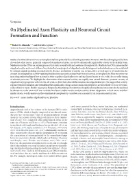 On Myelinated Axon Plasticity and Neuronal Circuit Formation and Function