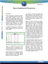 Raman Scattering and Fluorescence