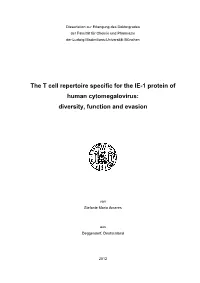 The T Cell Repertoire Specific for the IE-1 Protein of Human Cytomegalovirus: Diversity, Function and Evasion