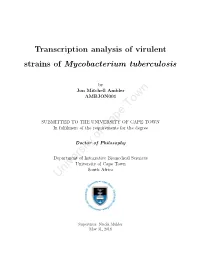 Transcription Analysis of Virulent Strains of Mycobacterium Tuberculosis