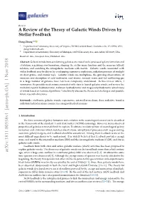 A Review of the Theory of Galactic Winds Driven by Stellar Feedback