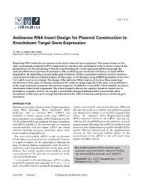 Antisense RNA Insert Design for Plasmid Construction to Knockdown Target Gene Expression