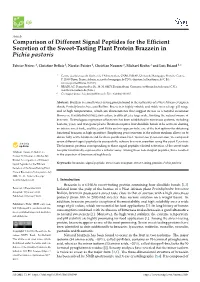 Comparison of Different Signal Peptides for the Efficient Secretion