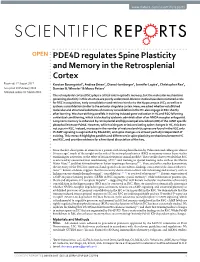 PDE4D Regulates Spine Plasticity and Memory in the Retrosplenial Cortex