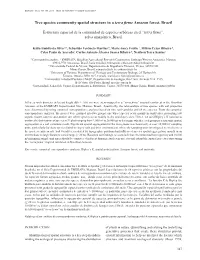 Tree Species Community Spatial Structure in a Terra Firme Amazon Forest, Brazil