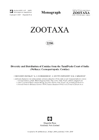 Zootaxa, Diversity and Distribution of Conidae from The