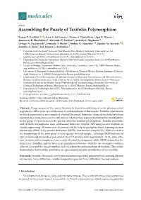Assembling the Puzzle of Taxifolin Polymorphism