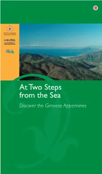 At Two Steps from the Sea There Are Mountains of Green