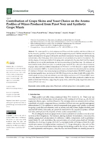 Contribution of Grape Skins and Yeast Choice on the Aroma Profiles Of