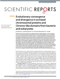 Evolutionary Convergence and Divergence in Archaeal