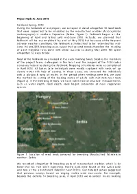 June 2018 Fieldwork Spring, 2018 During the Fieldwork of Our Project
