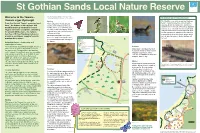 St Gothian Sands Local Nature Reserve