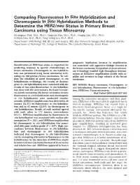 Comparing Fluorescence in Situ Hybridization and Chromogenic In
